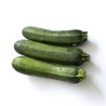 Courgette longue verte