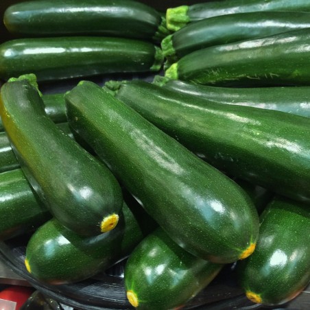 Courgette longue verte