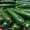 Courgette longue verte