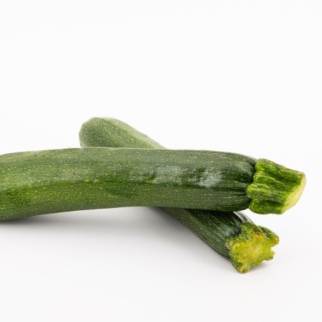 Courgette longue verte