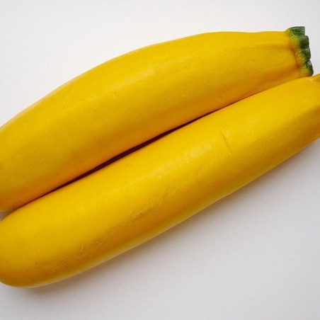 Courgette longue jaune