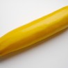 Courgette longue jaune