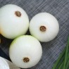 oignon cébette ( blanc )