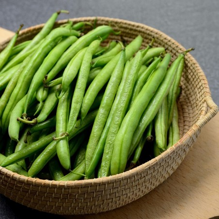 Haricots verts
