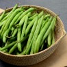 Haricots verts