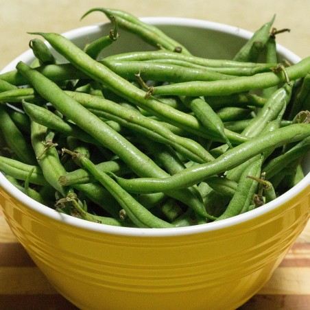 Haricots verts