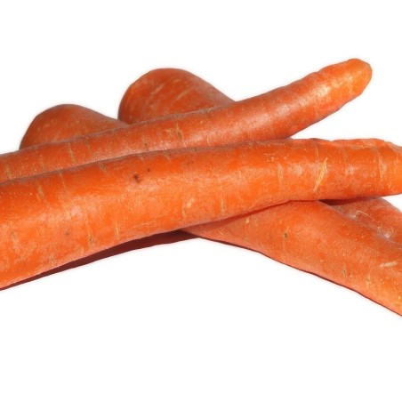 Carotte vrac