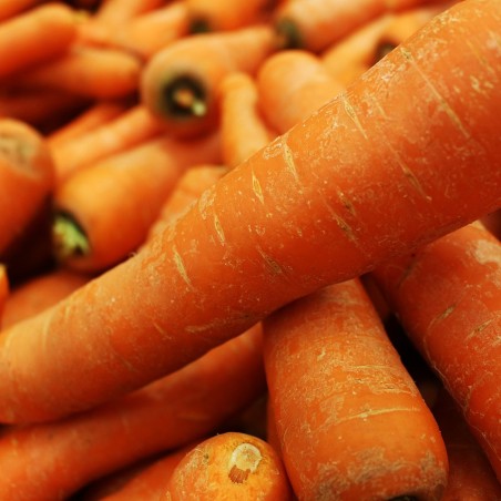 Carotte vrac