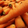 Carotte vrac