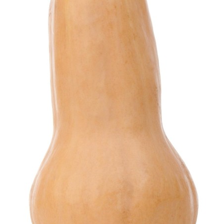 Butternut