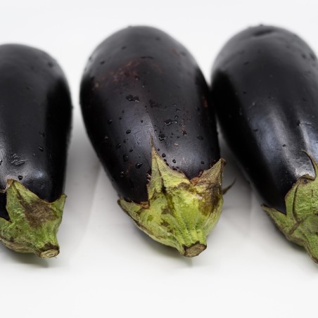 Aubergine violette