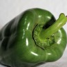 Poivron vert