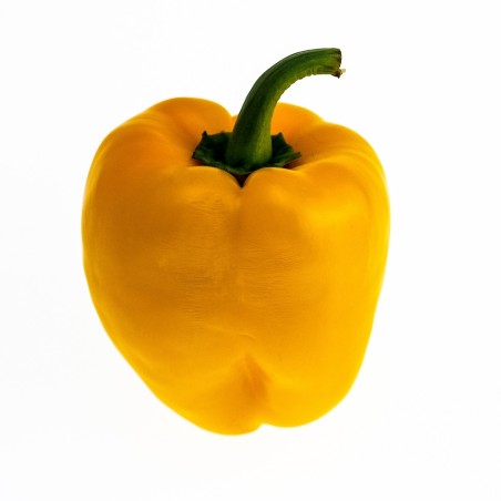 Poivron jaune