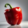 Poivron rouge