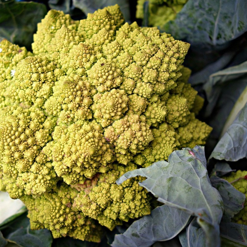 Chou romanesco