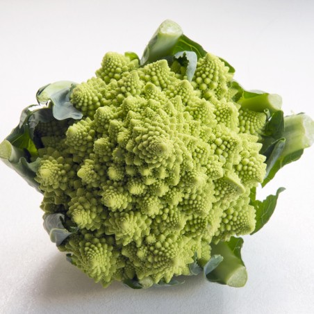 Chou romanesco