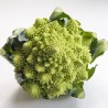 Chou romanesco