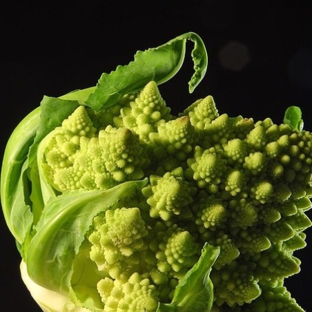 Chou romanesco