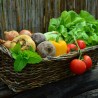Panier 5-6 personnes — 25 €