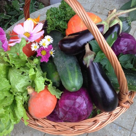 Panier 2 - 3 personnes — 15 €
