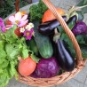 Panier 2 - 3 personnes — 15 €