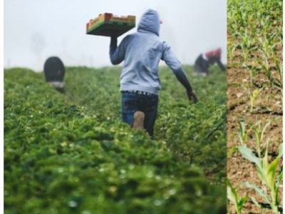 Apporter du sens ...